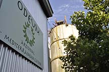 Photo of the Odeum sign from an article by writer Angela Young